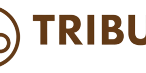 Gemini_Generated_Image_o8e36qo8e36qo8e3 (1)